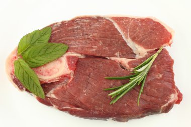 želvovina oranžový motýl Babočka (aglais urtical) izolované na bílém pozadí
