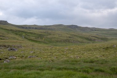 Çevre yolu boyunca çimenli bir manzara
