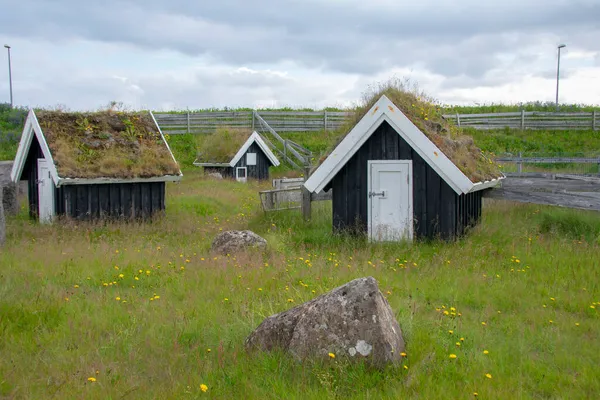 Keflavik Yakınlarında Bir Yosun Kaplı Viking Evinin Manzarası — Stok fotoğraf