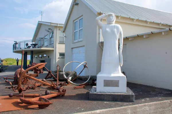 Landskap Med Staty Framför Byggnaden Island — Stockfoto