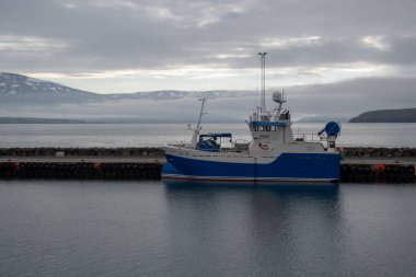 Dalvik İzlanda 'da buzlu sisli bir limanda tekne