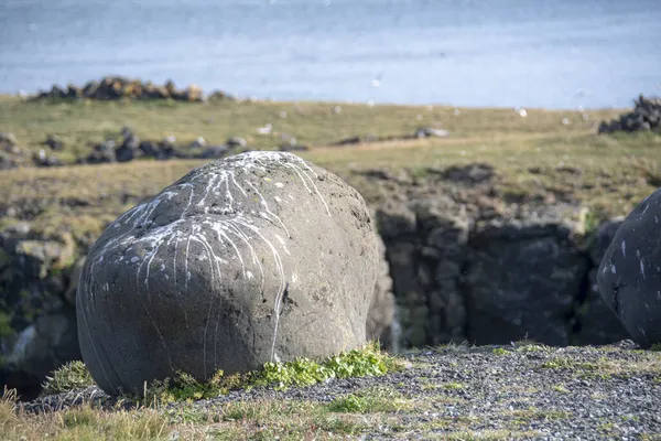 Яскрава Лишайник Росте Скелях Острові Грімсі — стокове фото