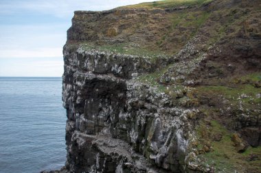 Grimsey Adası kıyısındaki çimenli kayalıklara yuva yapan deniz kuşlarının manzarası