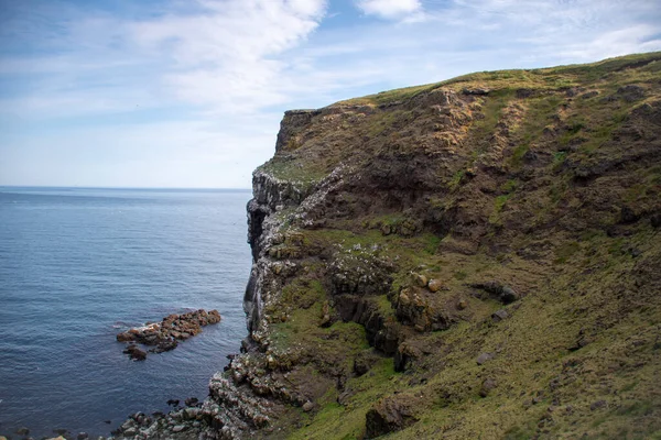 Krajobraz Ptaków Gniazdujących Trawiastych Klifach Wybrzeżu Wyspy Grimsey — Zdjęcie stockowe