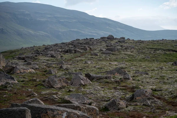 Grassig Landschap Van Een Pad Door Rotsen Ijsland — Stockfoto