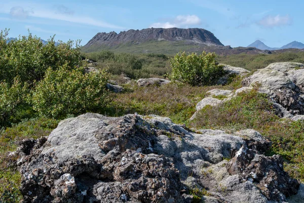 Landschaft Des Erloschenen Vulkans Eldborg Nahe Borgarnes Island — Stockfoto
