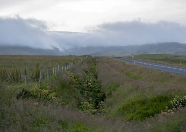 Güney İzlanda 'da Vik yakınlarında çimenlik alanların bulutlu manzarası