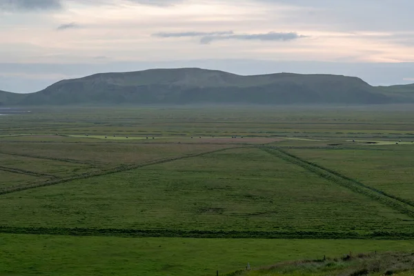 Landscape Farmland Fields Vik Iceland — Stock Photo, Image