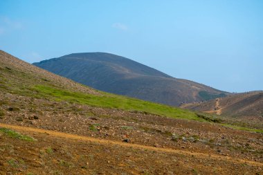 Fagradalsfall Volkanı 'ndaki lav kayalarında yetişen bitkilerin çimenli manzarası