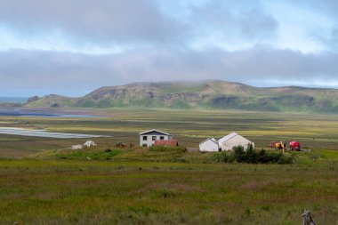 Kara Kum Sahil Vik İzlanda yakınlarındaki dağların suları ve çayırlarıyla otlak bir arazi.