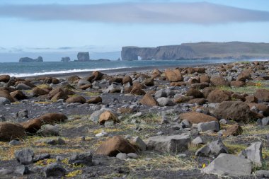 Reynisfjara Denizi Kara Kum Sahil Vik İzlanda