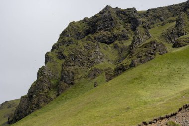 Kara Kum Sahil Vik yakınlarındaki kayalıkların çimenli manzarası