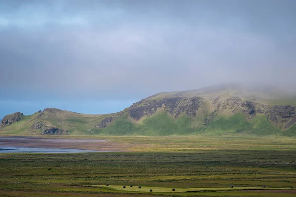 黒い砂のビーチの近くの草の風景Vik South — ストック写真