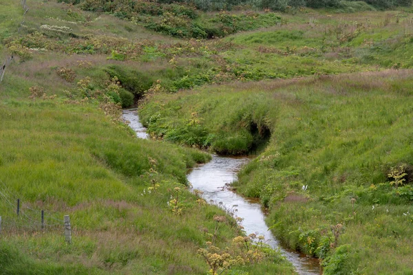 Paysage Herbeux Avec Ruisseau Dans Prairie Près Plage Sable Noir — Photo