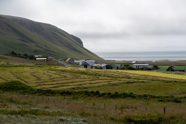黒砂ビーチの近くの山の水と牧草地と草の風景 Vik Iceland — ストック写真