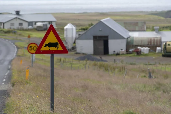 Trawiasty Krajobraz Domem Znakiem Drogowym Pobliżu Black Sand Beach Vik — Zdjęcie stockowe