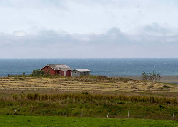 Dağlık çiftlik evi ve Black Sand Beach Vik İzlanda yakınlarındaki çayır arazisi.