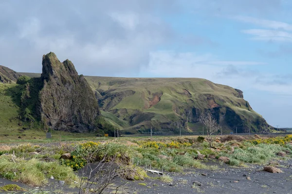 Bewölkte Landschaft Mit Grasbewachsenen Klippen Und Schwarzem Sandstrand Vik Island — Stockfoto