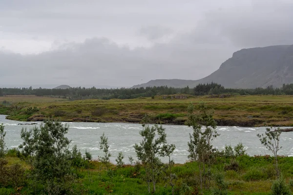 Landschaft Des Flusses Olfusa Einem Trüben Tag Selfoss — Stockfoto