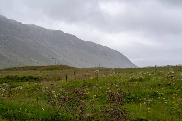 Landschap Van Grazige Weide Heuvel Bergen Selfoss Zuid Ijsland — Stockfoto
