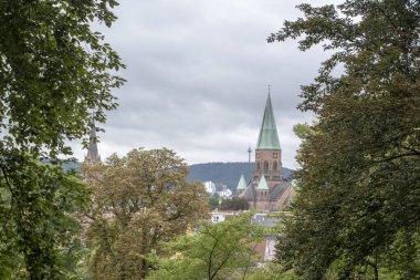 Kaiserslautern 'deki Japon bahçesinden Stiftskirche manzarası