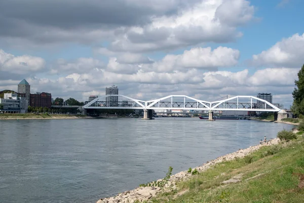 Paisaje Del Río Rhein Puente Mannheim —  Fotos de Stock