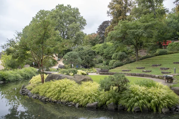 Kaiserslautern Rhineland Palatinate Japonya 'daki ağaçların manzarası