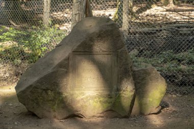 Kaiserslautern 'deki Wildpark' taki büyük kayaların manzarası