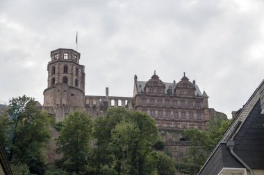 Baden Wurttemburg 'daki Heidelberg şatosunun manzarası