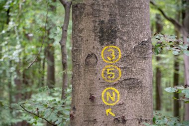 Heidelberg Baden Wurttemburg 'daki orman yürüyüşü tabelalarının manzarası.