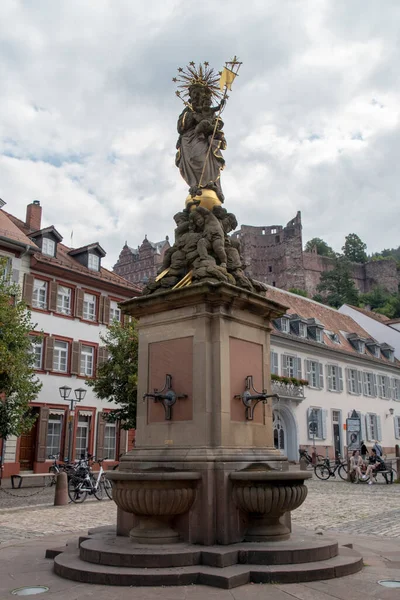 Landscape Building Architecture Statue Plaza Heidelberg Baden Wurttemburg — Fotografia de Stock