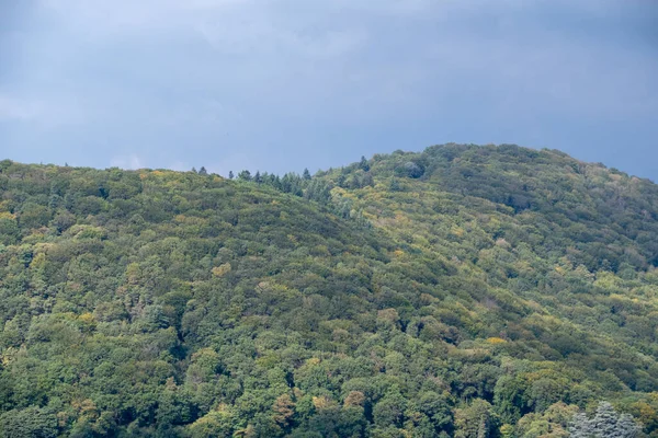 Paisaje Montaña Heidelberg Cubierto Árboles Baden Wurttemburg — Foto de Stock