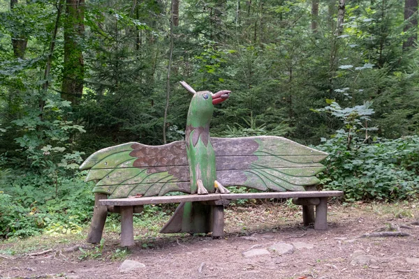 ハイデルベルクの森の中の木製ベンチの風景バーデン ヴュルテンベルク州 — ストック写真