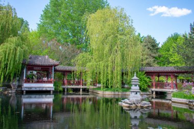Garten der Welt Marzahn Berlin 'deki arazi ve ağaçların manzarası.