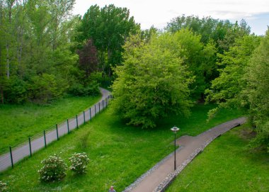Garten der Welt Marzahn Berlin 'deki arazi ve ağaçların manzarası.