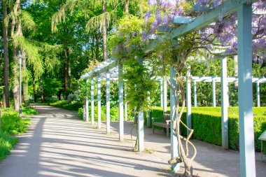 Bahçe der Welt Marzahn Berlin 'deki İtalyan Rönesans bahçesinin manzarası