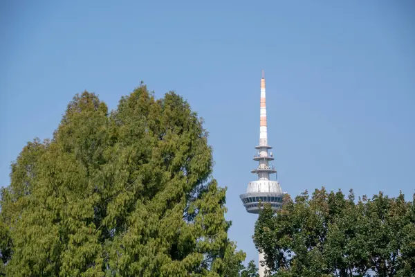 Landscape Fernsehturm Tower Mannheim Baden Wurttemburg — Stockfoto
