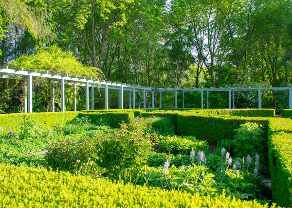 Scénická Krajina Italské Renesanční Zahrady Garten Der Welt Marzahn Berlin — Stock fotografie