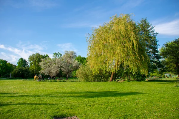 Bahçe der Welt Marzahn Berlin 'deki çimenlik arazi ve ağaçların manzarası