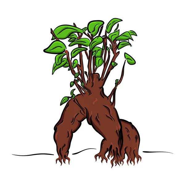 Vetor bonsai desenhos animados — Vetor de Stock