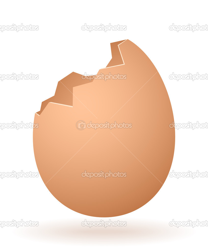 vector cartoon broken egg
