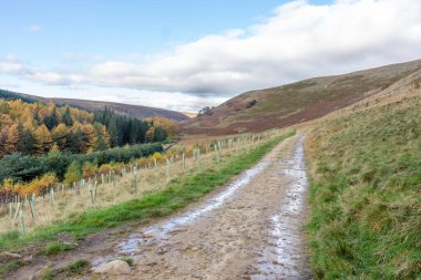 Derwent Valley, Peak District, İngiltere.