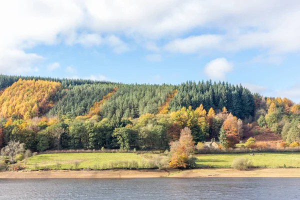 Derwent Reservoir, Peak District, İngiltere.