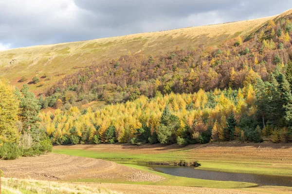 Осенний Вид Водохранилища Дервент Пик Дистрикт Великобритания — стоковое фото