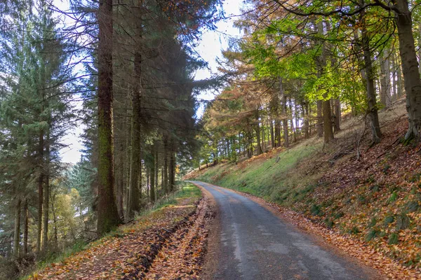 Jesienny Widok Derwent Reservoir Peak District Wielka Brytania — Zdjęcie stockowe