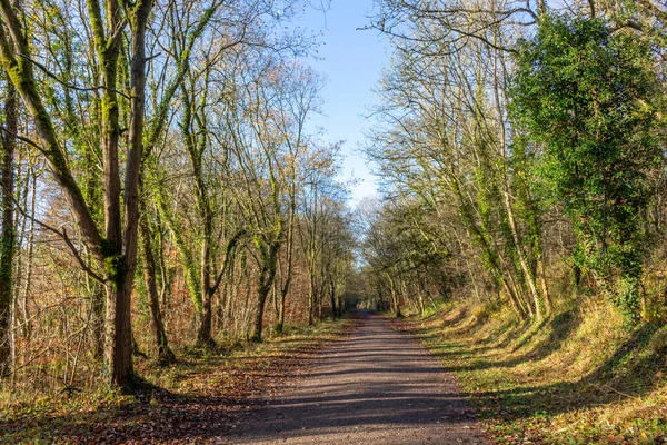 Monsal Trail yürüyüşü, bisiklet ve ata binme yolu Peak District Ulusal Parkı, Derbyshire, İngiltere.