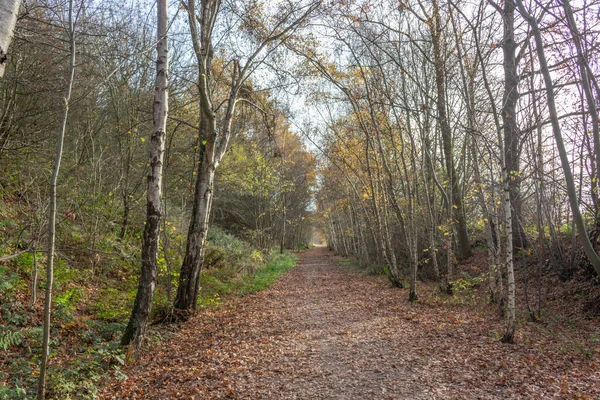 Szlak Monsal Ścieżka Spacerowa Rowerowa Konna Parku Narodowym Peak District — Zdjęcie stockowe