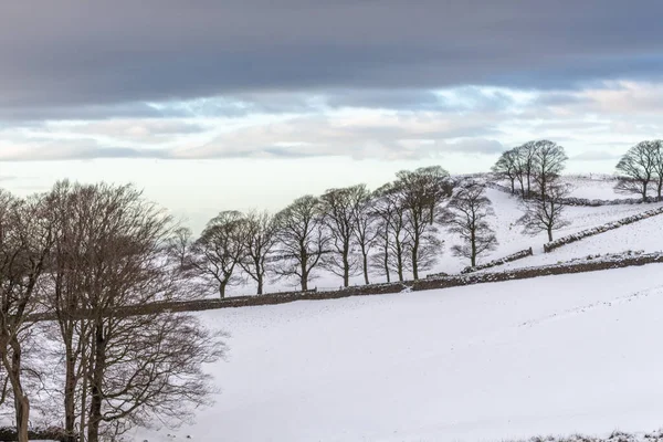 Zimowa Wieś Śniegu Parku Krajobrazowym Nos Tegg Macclesfield Cheshire Wielka — Zdjęcie stockowe
