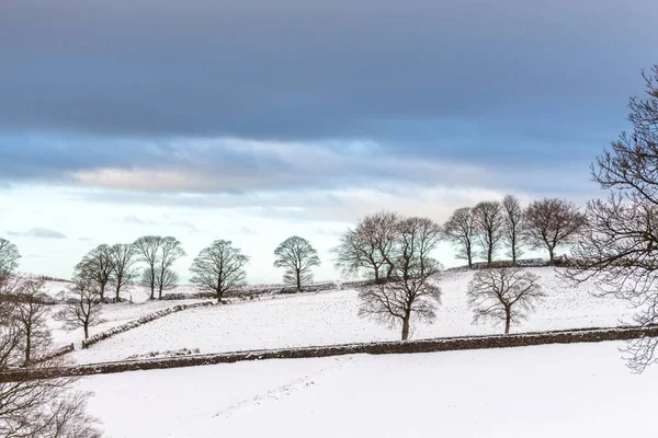 Zimowa Wieś Śniegu Parku Krajobrazowym Nos Tegg Macclesfield Cheshire Wielka — Zdjęcie stockowe
