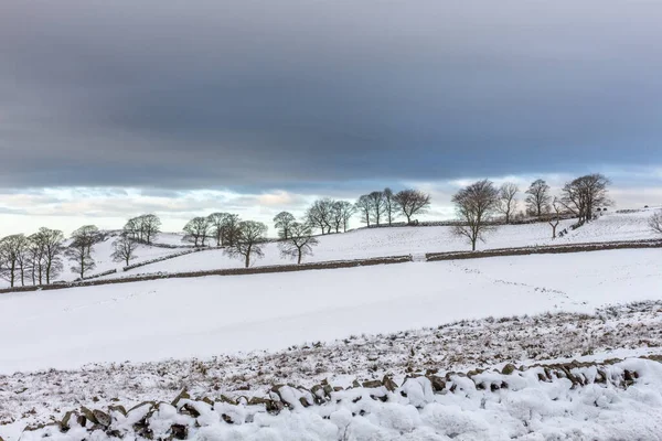 Campagna Invernale Sulla Neve Tegg Nose Country Park Macclesfield Cheshire — Foto Stock